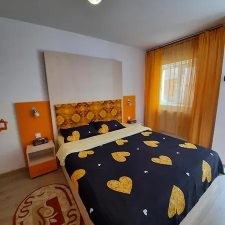 Ingerul Auriu Studio