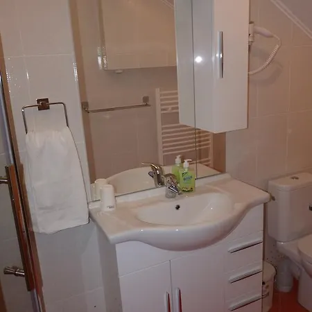 Ingerul Auriu Studio Apartman *