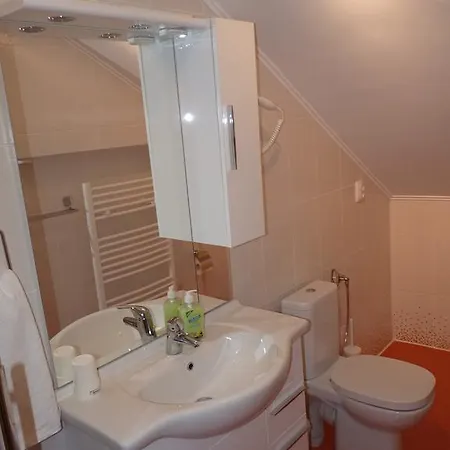 Ingerul Auriu Studio Apartman